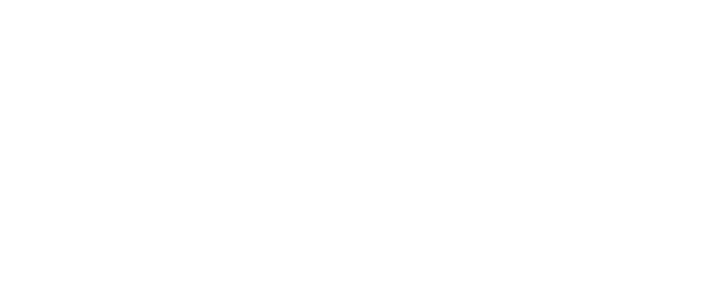 Vexel Artist